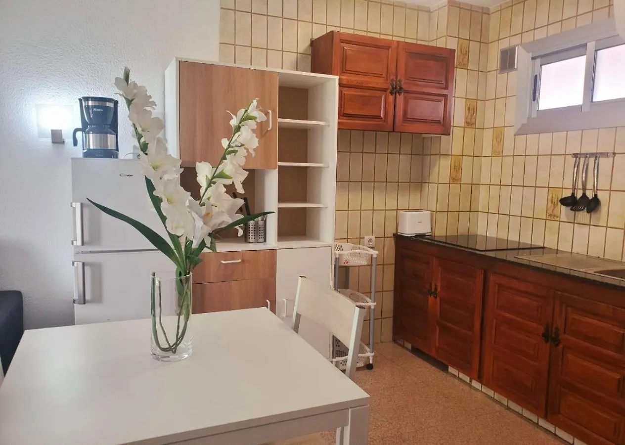 Las Camelias Apartments Ci15 Playa del Ingles  Spain