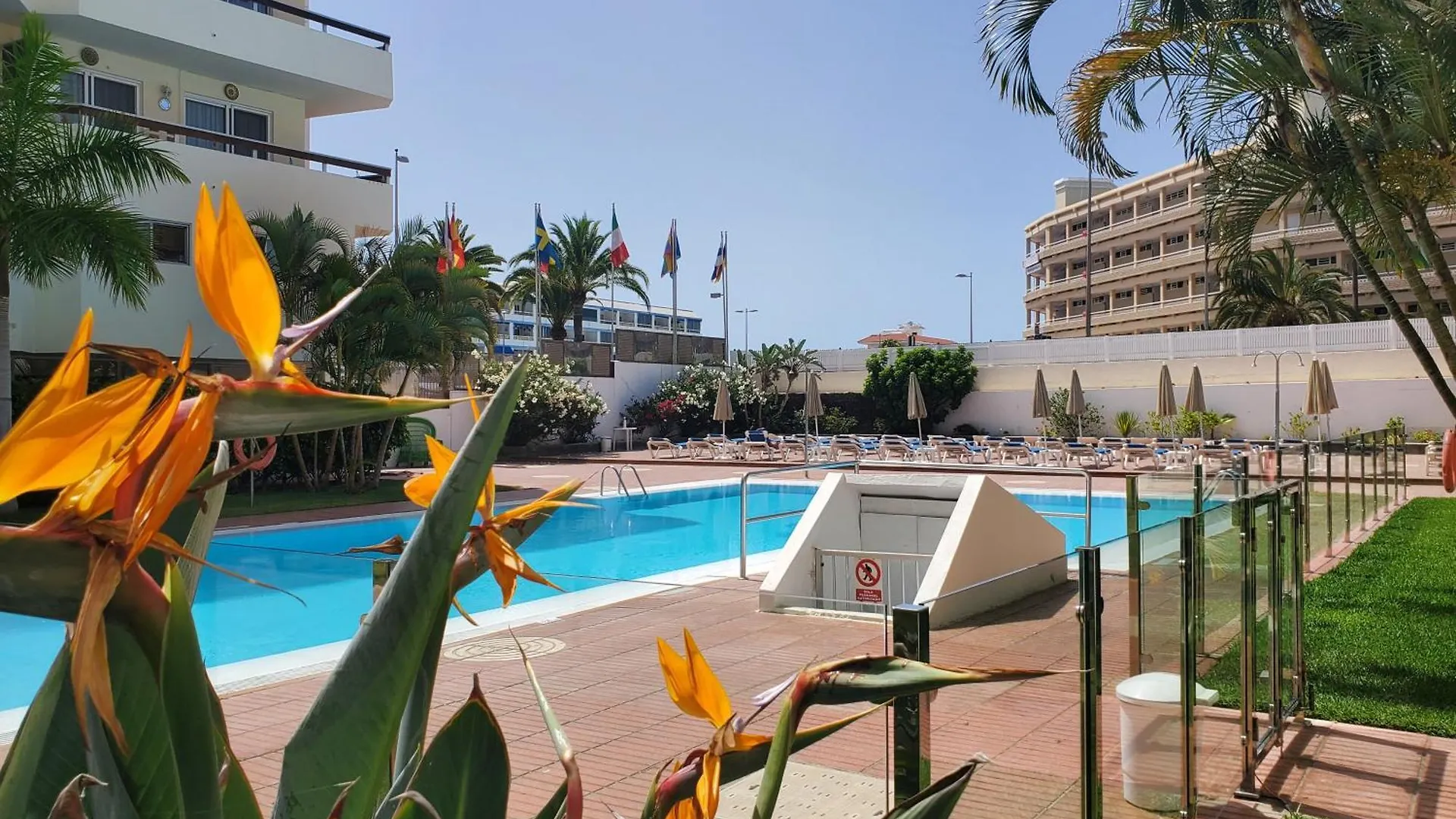 Las Camelias Apartments Ci15 Playa del Ingles
